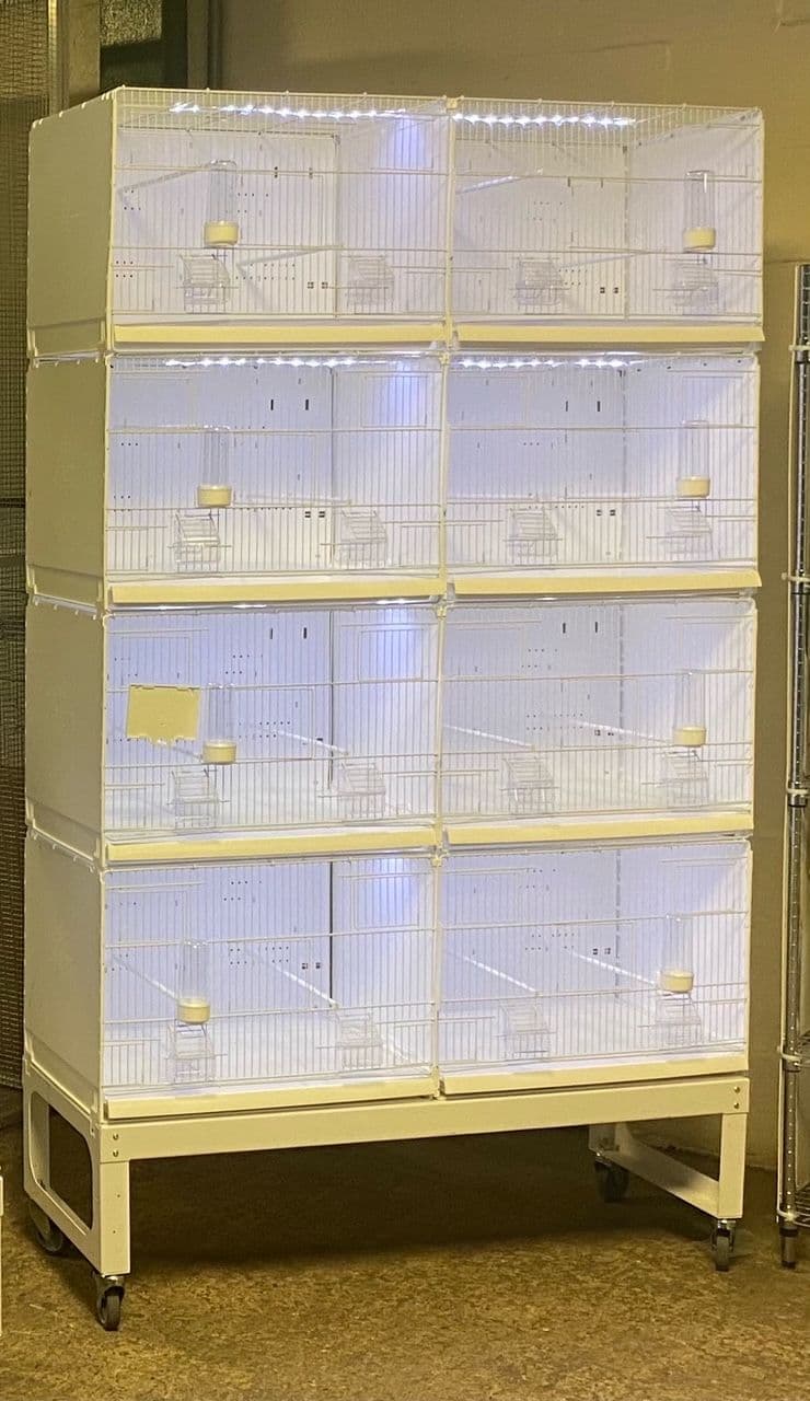 Bird Breeding Cages 90cm x 42cm x 45cm H
