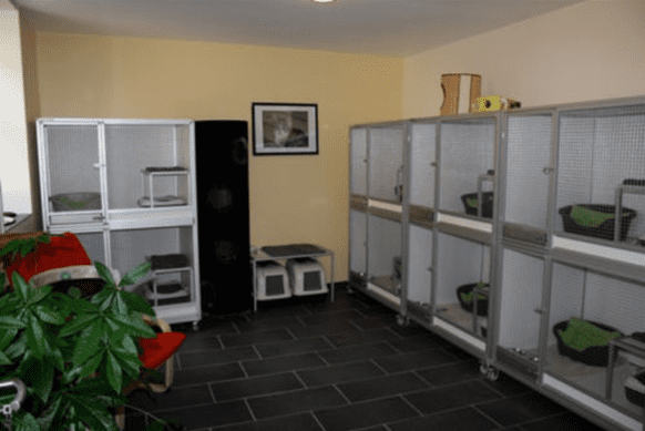 cat pens made from upvc and aluminium