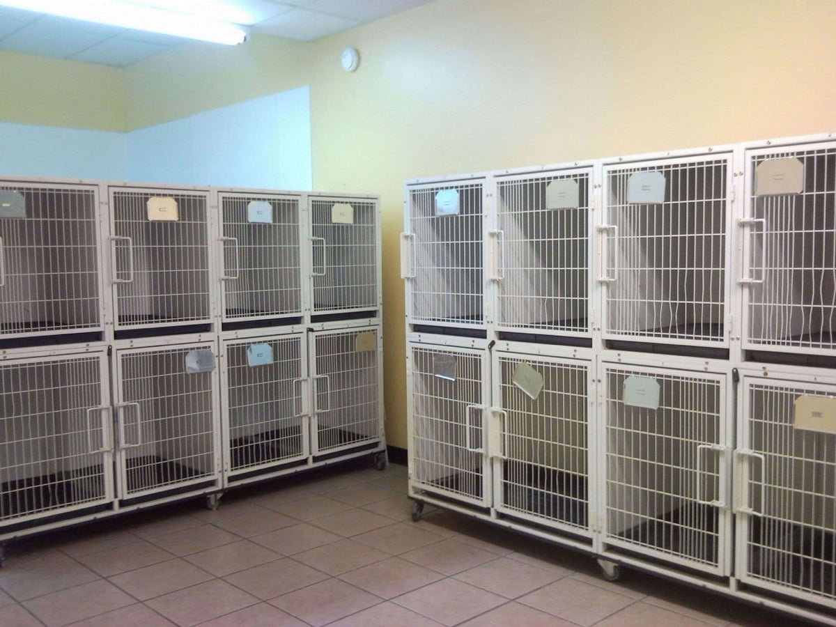 KA-505 Cat Pens